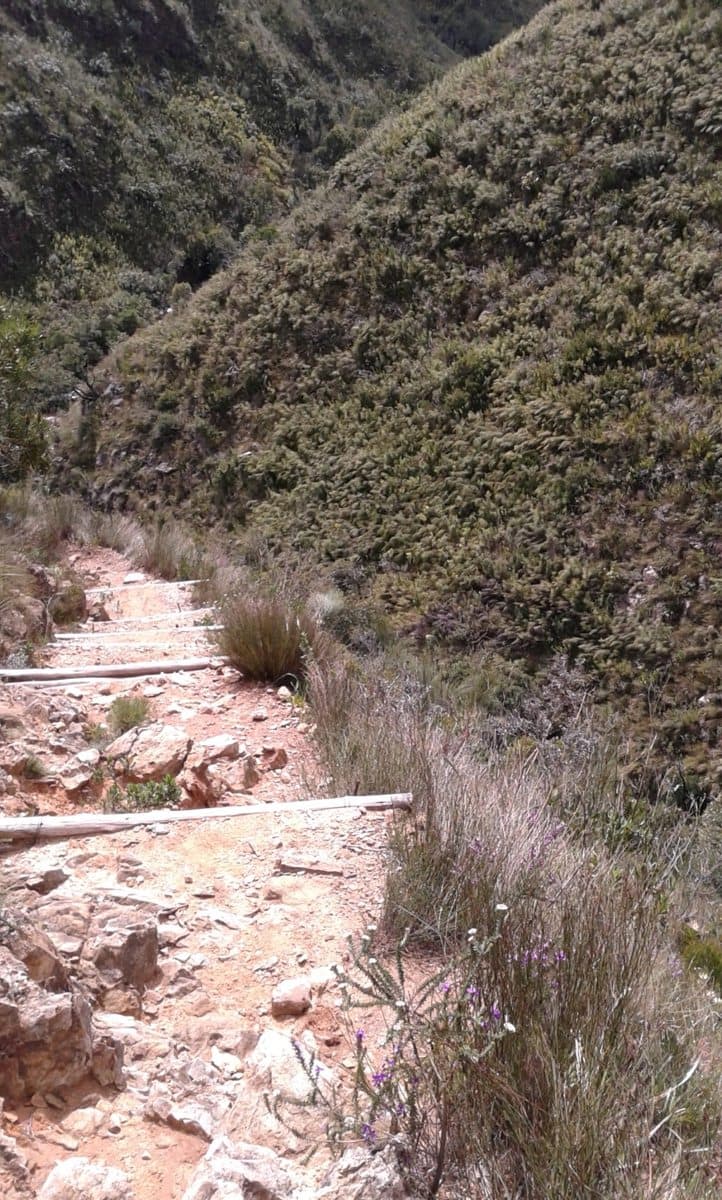 Jonkershoek