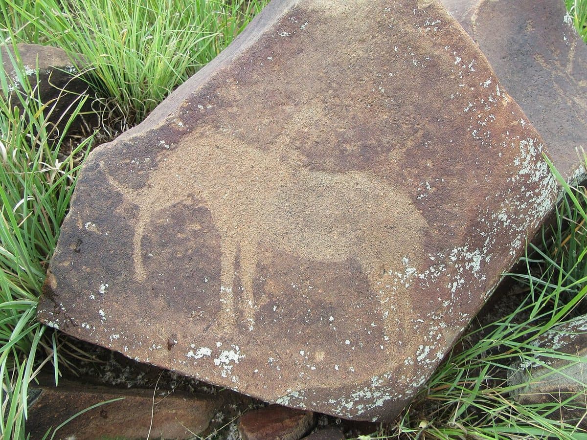 Elephant carving Wildebeest Kuil Rock Art Centre Kimberley South Africa