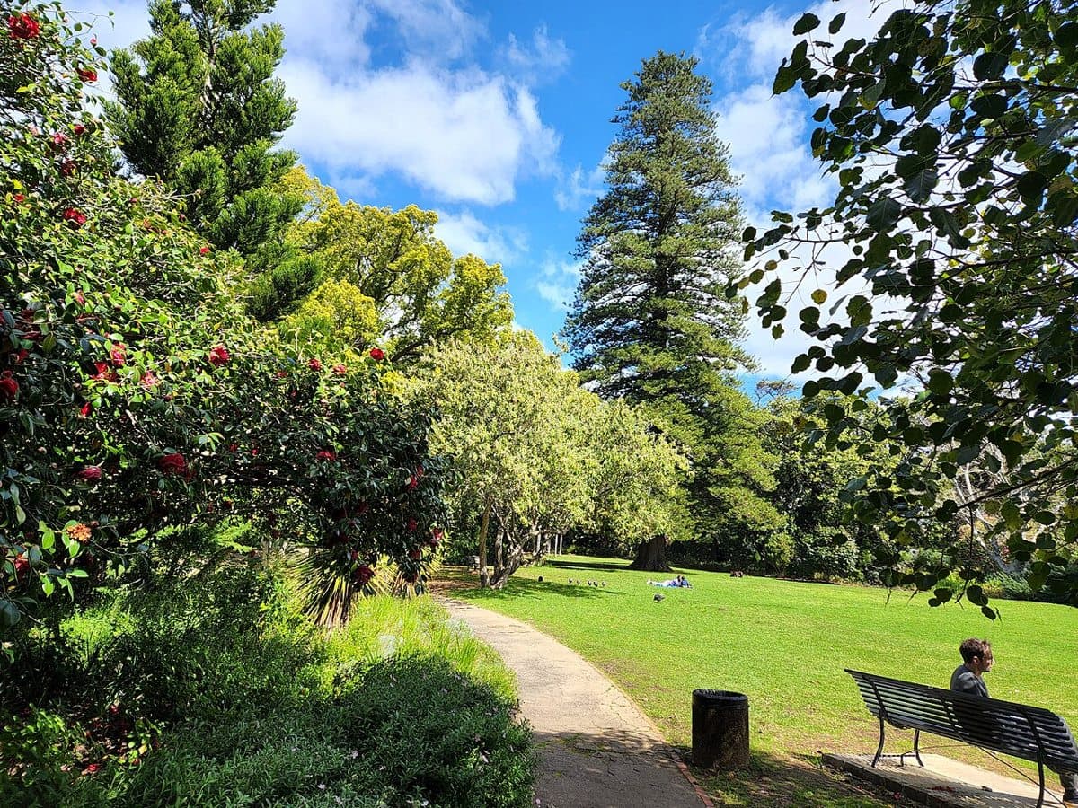 Arderne Gardens, Cape Town, South Africa