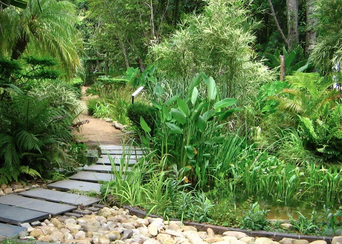 Garden in Stellenbosch University Botanical Garden